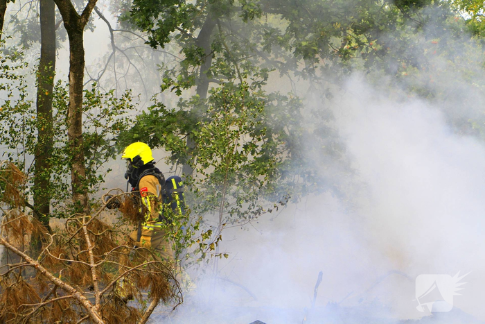 Buitenbrand in bosgebied vereist inzet van brandweer