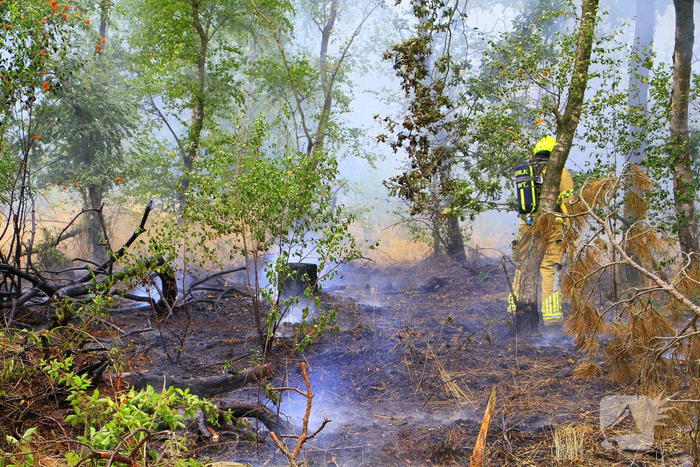 Buitenbrand in bosgebied vereist inzet van brandweer