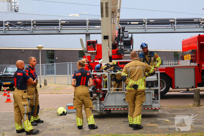 Brandweer redt vastzittende kat uit boom