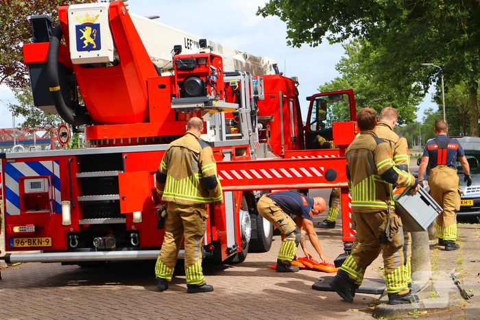 Brandweer redt vastzittende kat uit boom