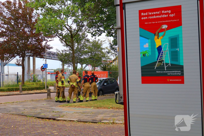 Brandweer redt vastzittende kat uit boom