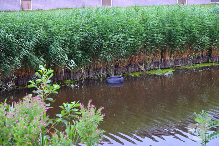 Flinke schade bij eenzijdig ongeval