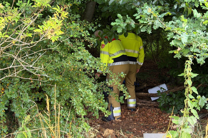 Buitenbrand snel geblust in bosgebied