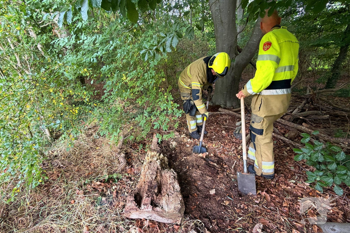 Buitenbrand snel geblust in bosgebied