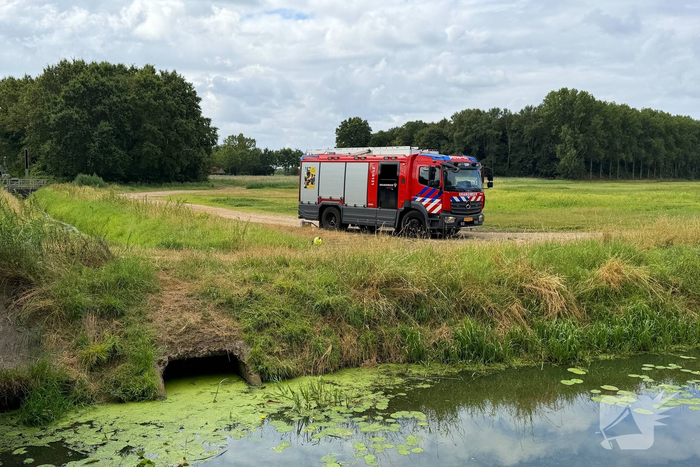 Buitenbrand snel geblust in bosgebied