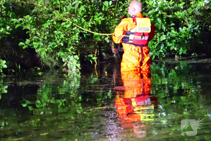 Hond gered na reddingsactie uit het water
