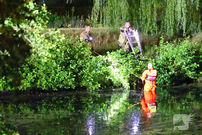 Hond gered na reddingsactie uit het water