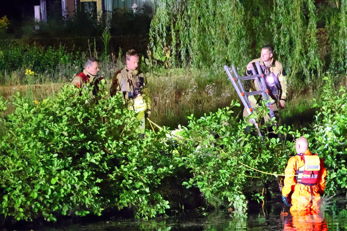 Hond gered na reddingsactie uit het water
