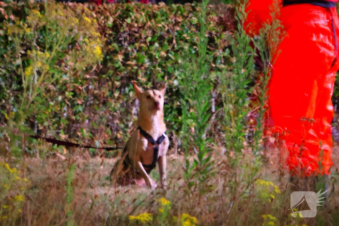Hond gered na reddingsactie uit het water