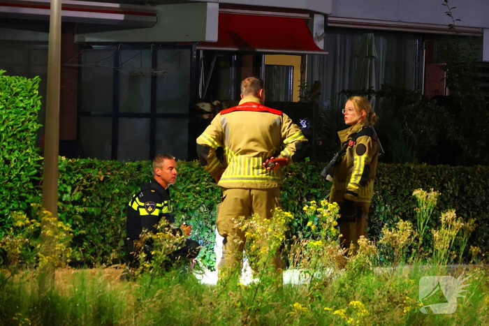 Hond gered na reddingsactie uit het water