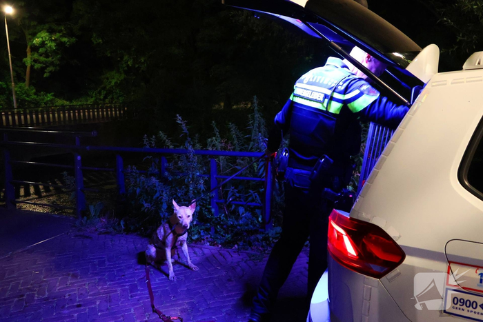 Hond gered na reddingsactie uit het water