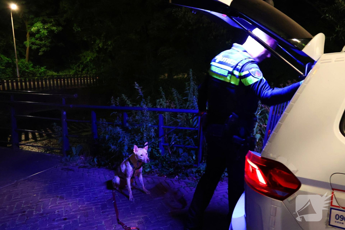 Hond gered na reddingsactie uit het water