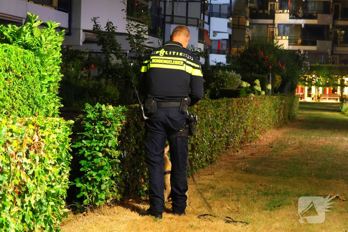 Hond gered na reddingsactie uit het water