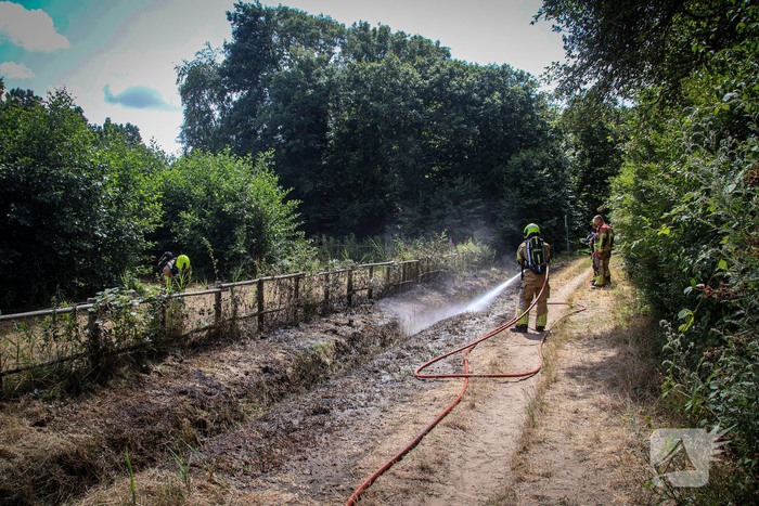 Brand in duingebied onder controle