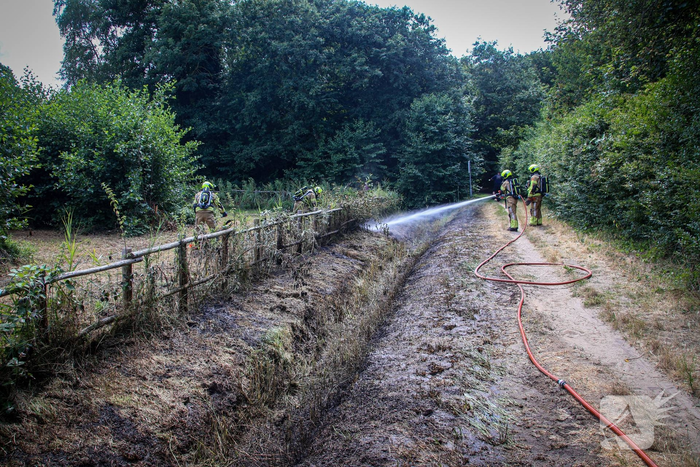 Brand in duingebied onder controle