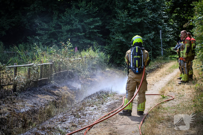 Brand in duingebied onder controle