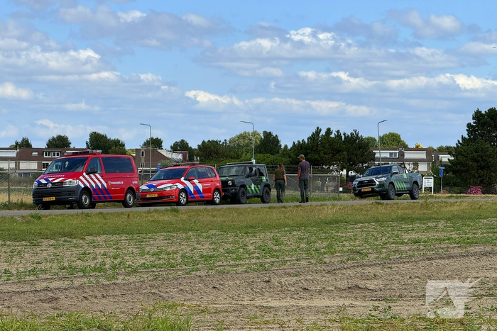 Brand in duingebied onder controle