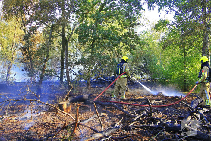 Grote brand in bosgebied vergt inzet van brandweer
