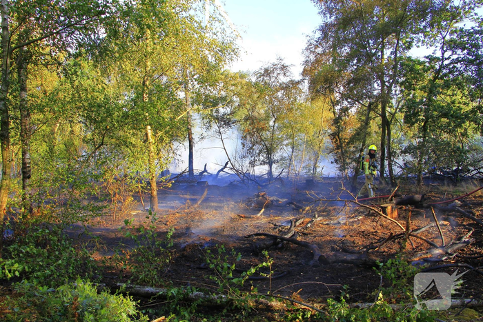Grote brand in bosgebied vergt inzet van brandweer
