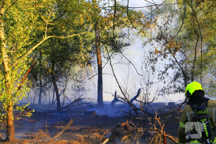 Grote brand in bosgebied vergt inzet van brandweer