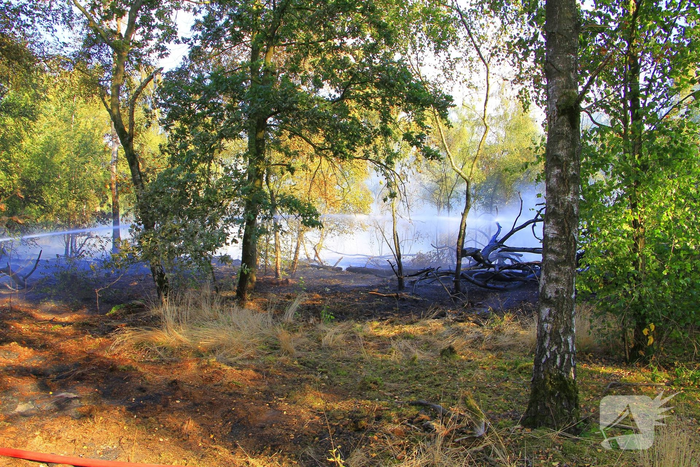 Grote brand in bosgebied vergt inzet van brandweer