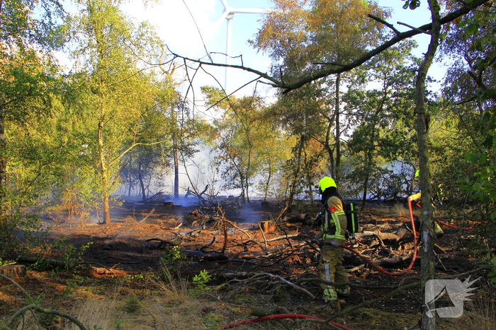 Grote brand in bosgebied vergt inzet van brandweer