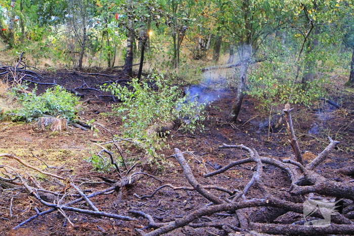 Derde brand in bosgebied binnen enkele dagen