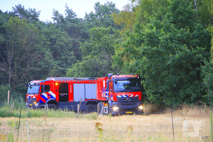 Derde brand in bosgebied binnen enkele dagen