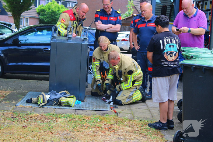 nieuws maarten rossaartpad amersfoort