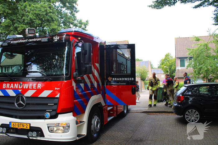 Brandweer bevrijdt kat uit ondergrondse afvalcontainer