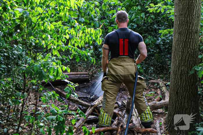 Buitenbrand in bos geblust