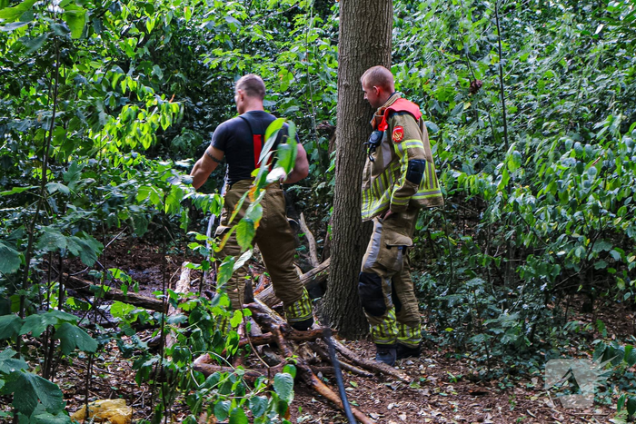 Buitenbrand in bos geblust