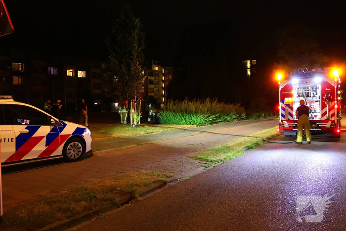 Meerdere prullenbakken en groenstrook beschadigd door brand