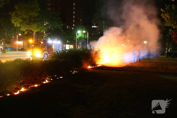 Meerdere prullenbakken en groenstrook beschadigd door brand