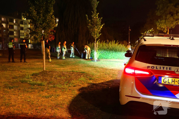 Meerdere prullenbakken en groenstrook beschadigd door brand