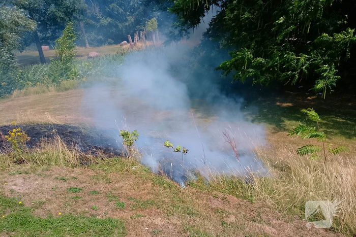 Riet en berm vatten vlam