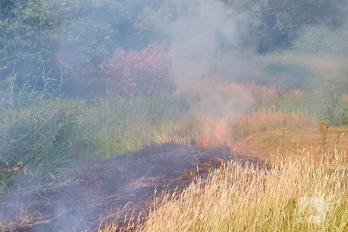 Riet en berm vatten vlam
