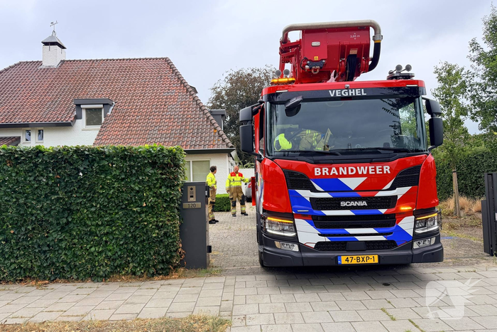Brandweer redt duif uit schoorsteen