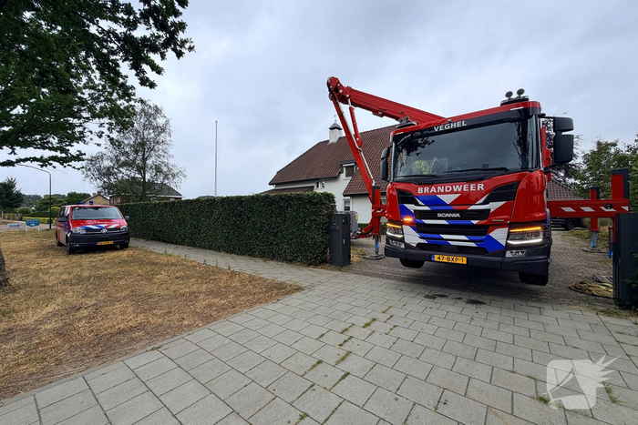 Brandweer redt duif uit schoorsteen