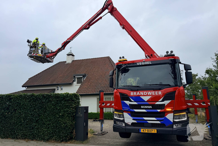 Brandweer redt duif uit schoorsteen