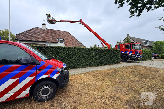 Brandweer redt duif uit schoorsteen