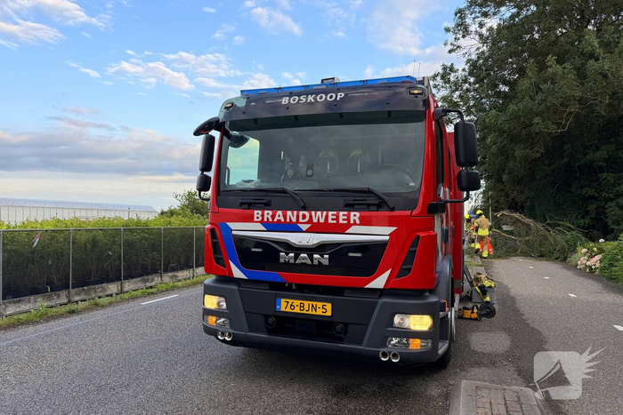Brandweer zaagt omgevallen boom in stukken