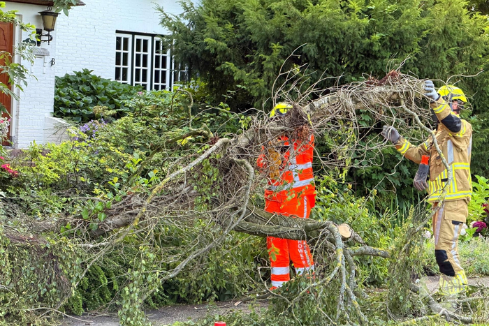 Brandweer zaagt omgevallen boom in stukken