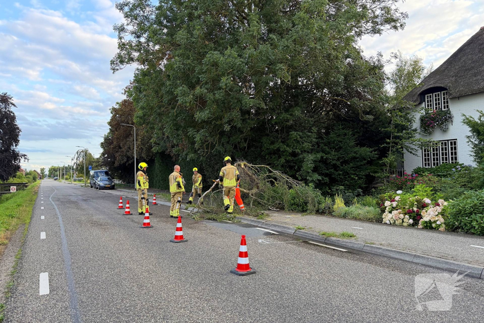 Brandweer zaagt omgevallen boom in stukken