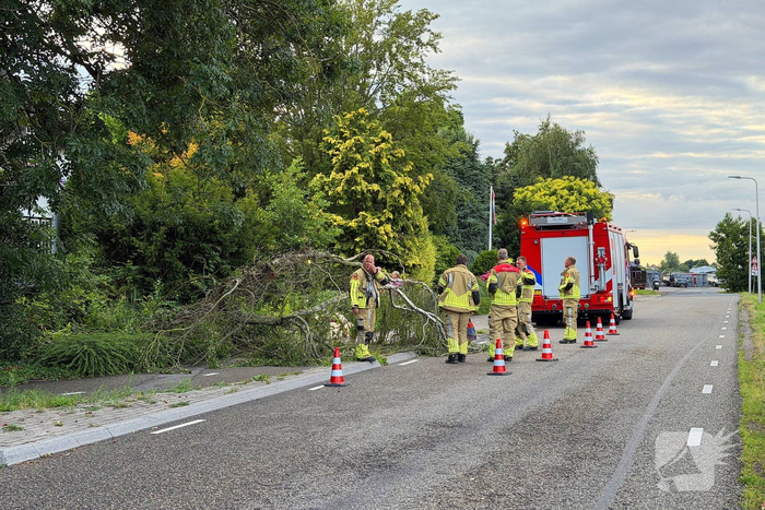 Brandweer zaagt omgevallen boom in stukken