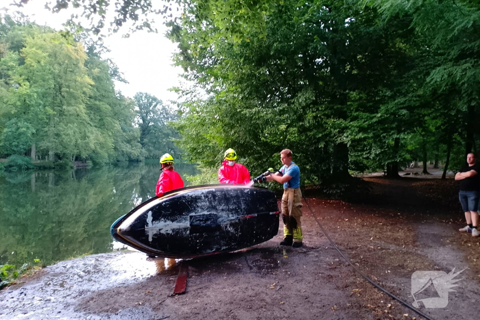 Zwaan overleden in water met Botulisme
