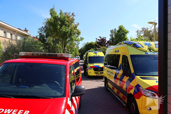 Roeiboten aangevaren door binnenvaarschip