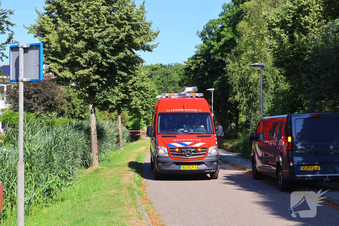 Roeiboten aangevaren door binnenvaarschip