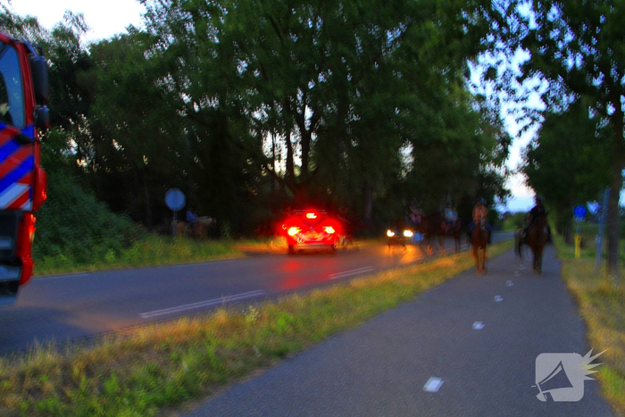 Natuurbrand verwoest heide in Weert