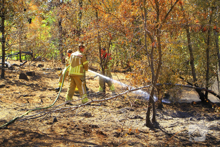 Brandweer blust bosbrand en ontdekt lachgascilinders
